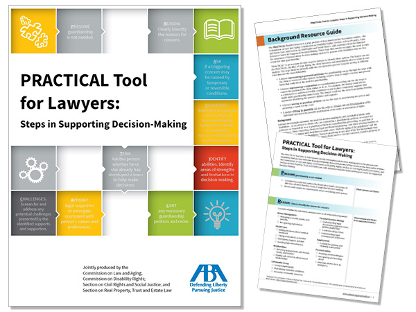 Image of the Practical Tool for Lawyers pdf cover